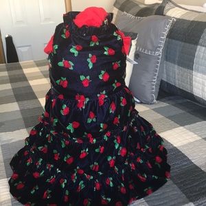 Janie & Jack little girls dress